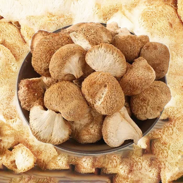Lion's mane Bodies 100 gr image